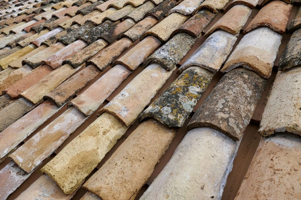 old tile roof with algae