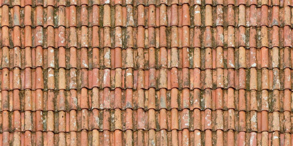 tile roof with signs of algae